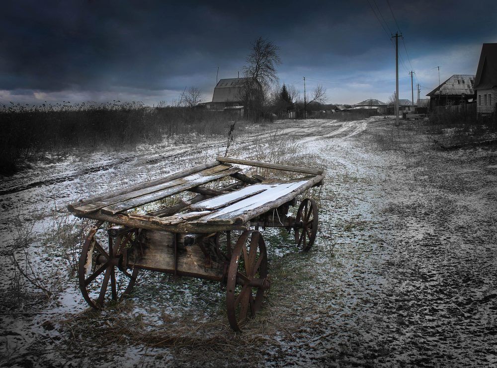 Photograph by Regina