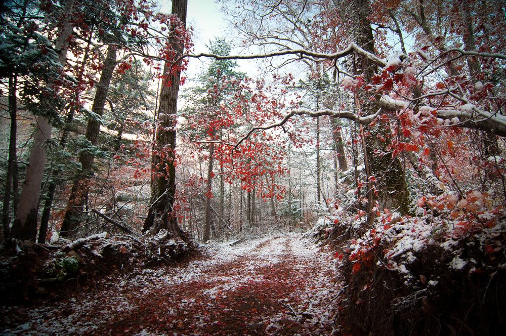 Примерка зимнего наряда