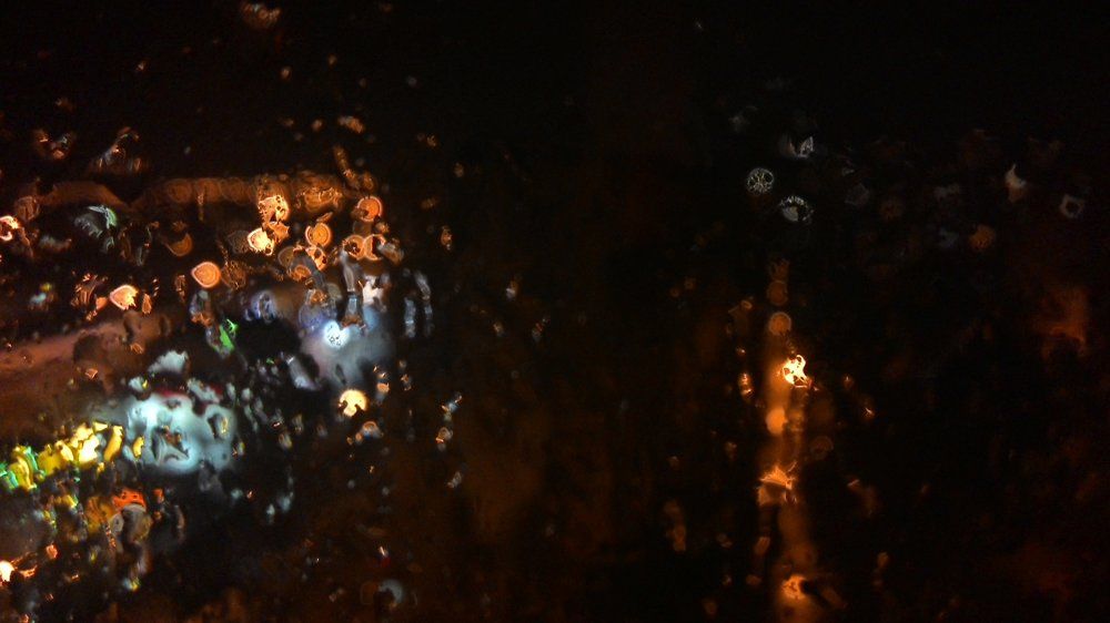 Дождь в городе