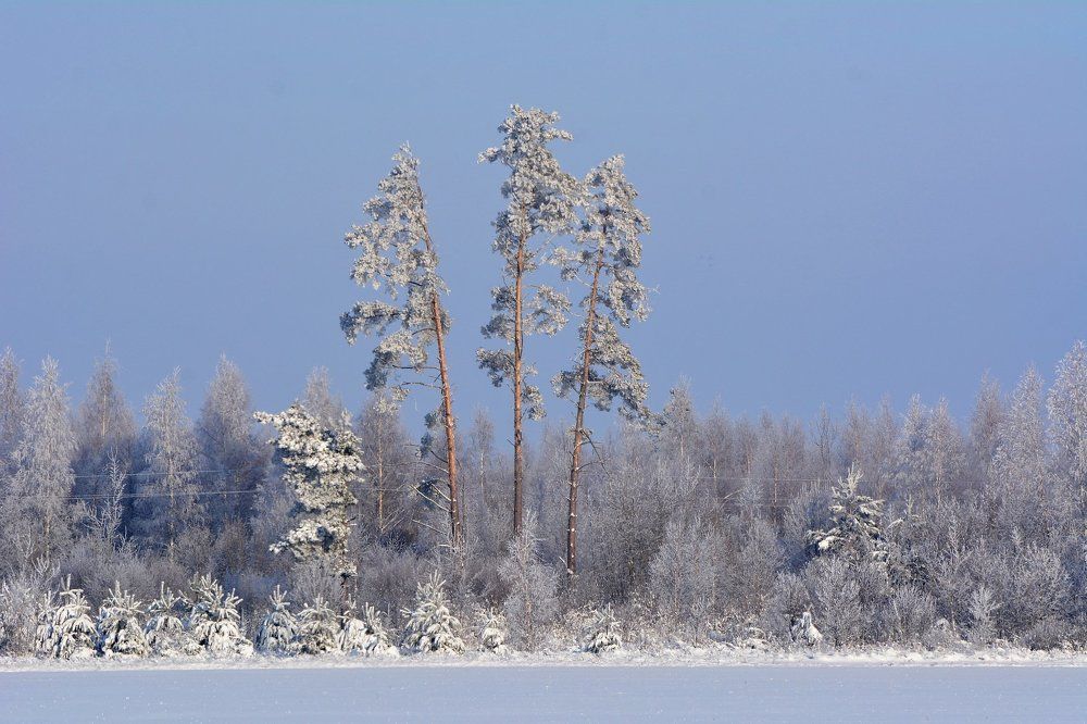 зимний этюд