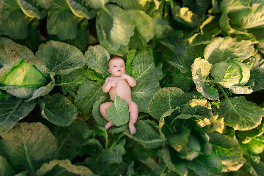 А вы своих детей тоже в капусте нашли?