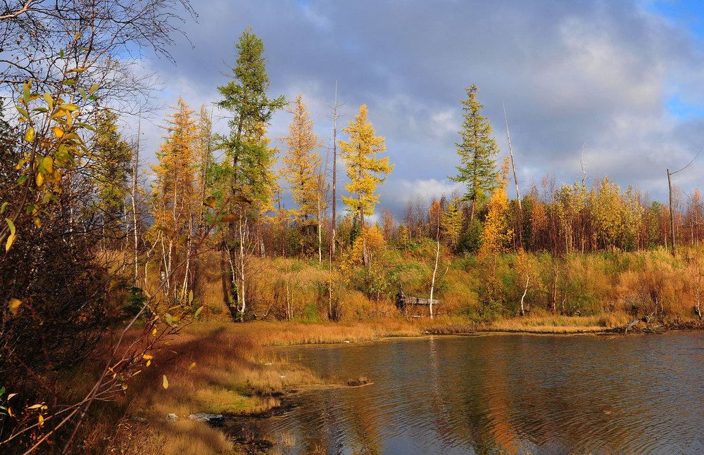 Осенний бал