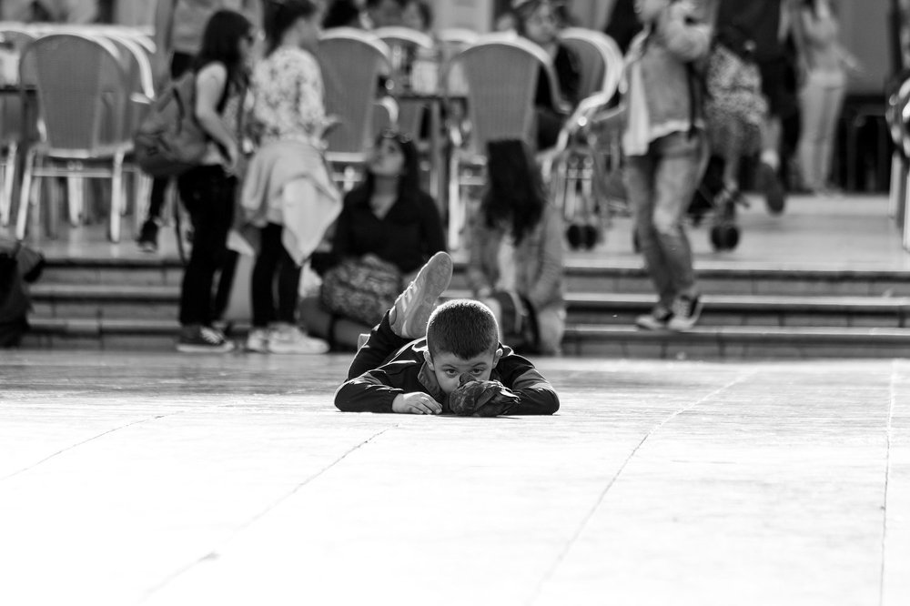 Разговор с голубем