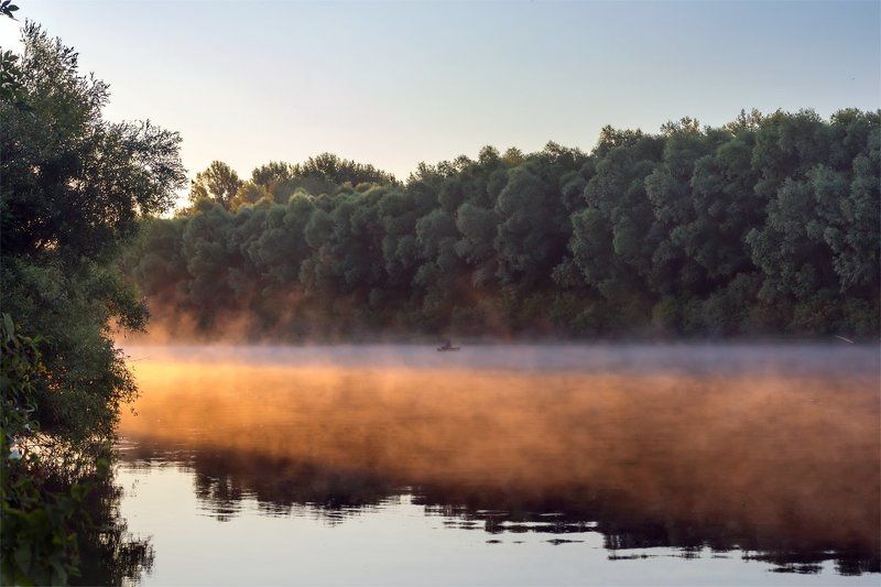 Vladimir Zhdanov, Ukraine