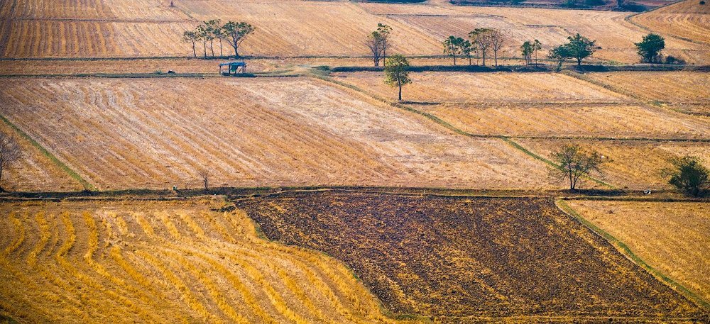 Fields and the sun.