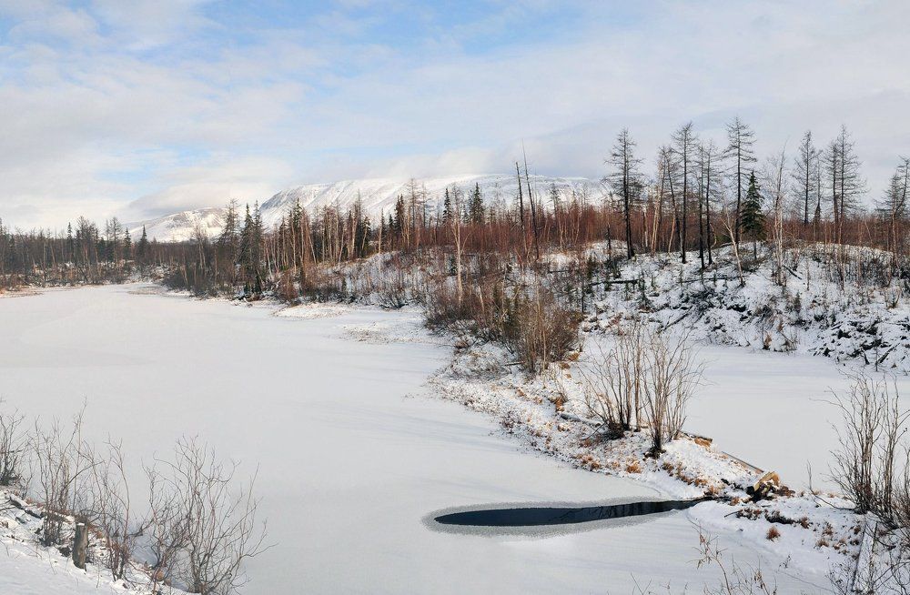 Зимняя слеза