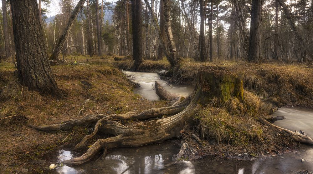 Хранитель ручья