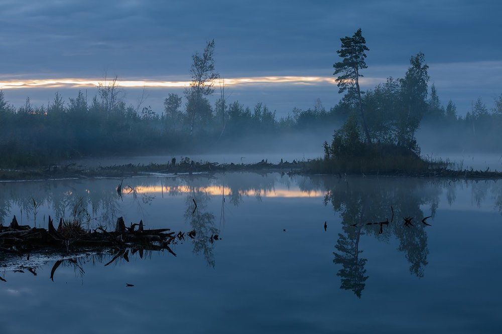 Ночь среди болот
