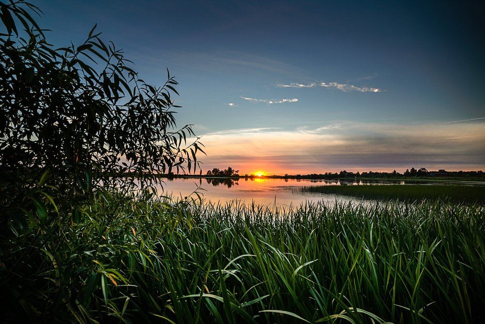 Photograph by Remigijus Grubinskas