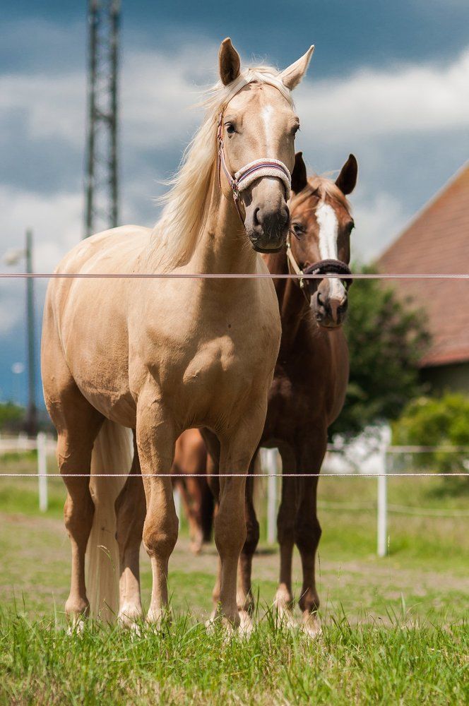 Photograph by Atlantida  Lima