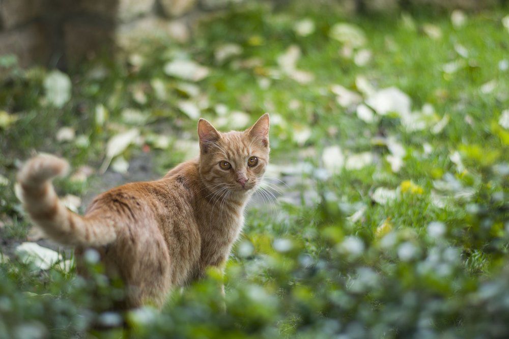 Would you come with me?