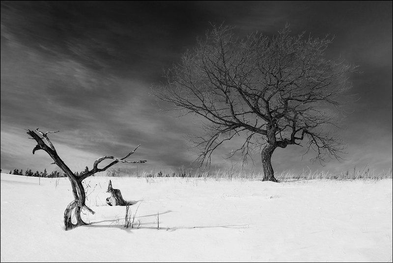 Vlad Nikishin, Russia