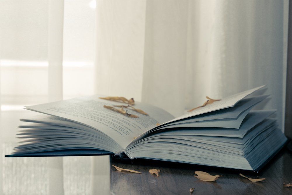 Photograph by Валерия Баева