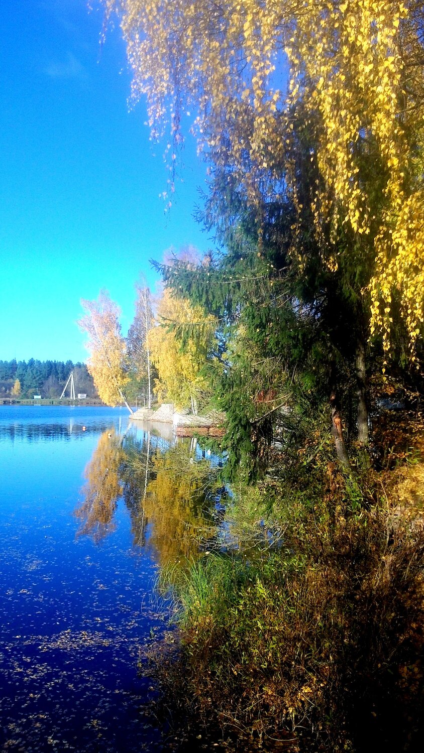осень