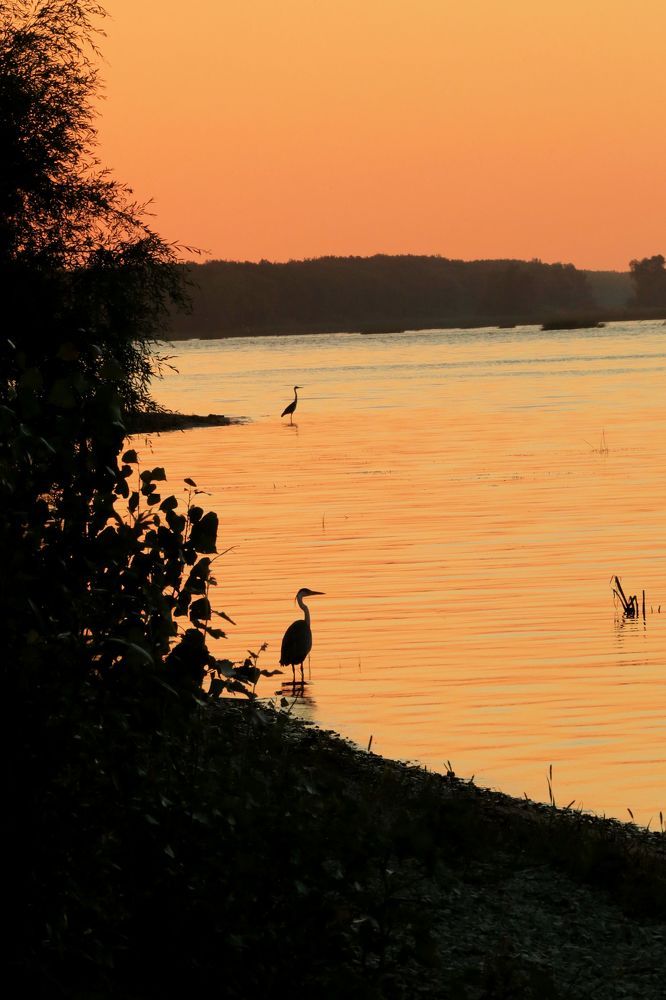 Волжский рассвет.