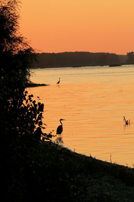 Aleksandr Masenko, Russia