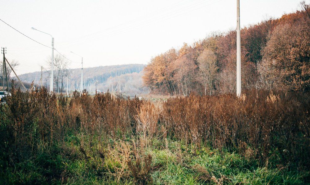 Photograph by ANASTAS