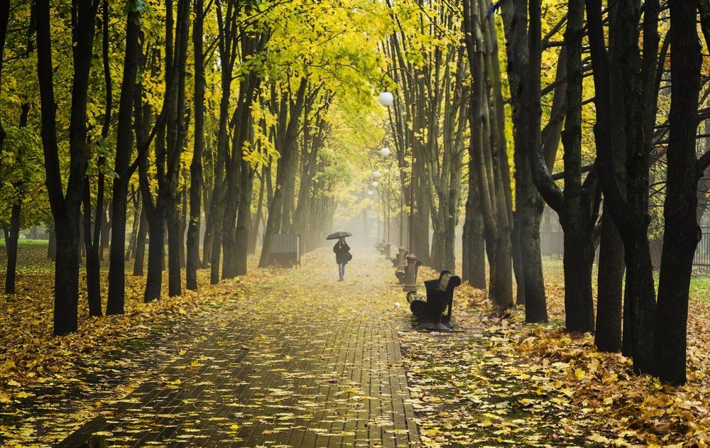 Золотая осень