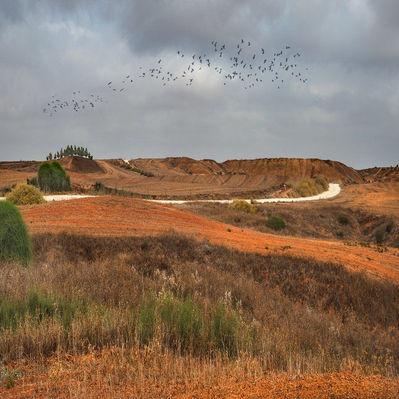 Анатолий, Israel