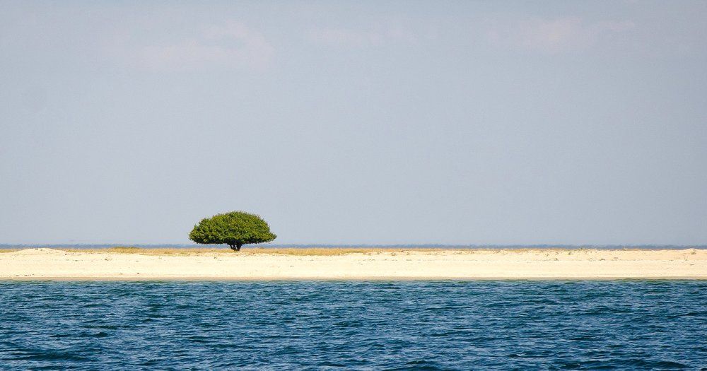 Одиночество