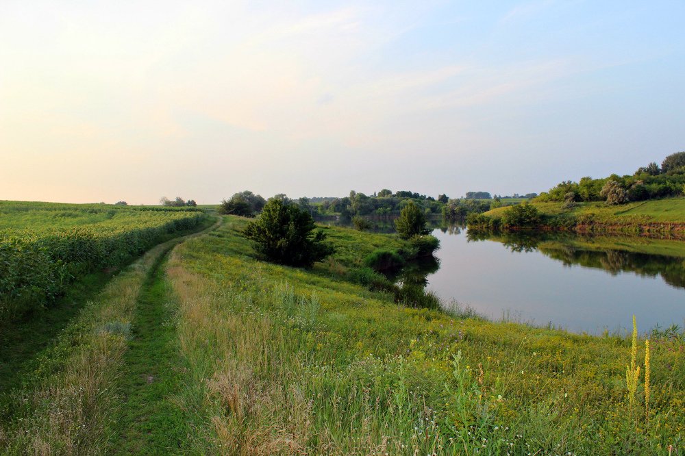Photograph by Олеся
