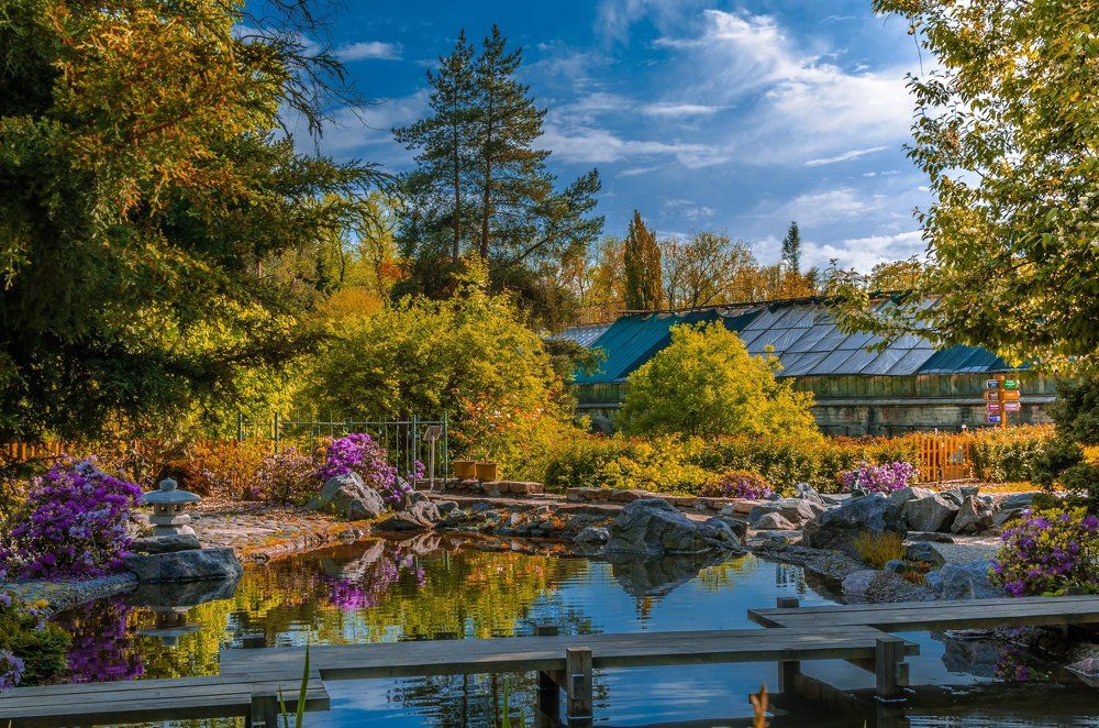 Райский уголок