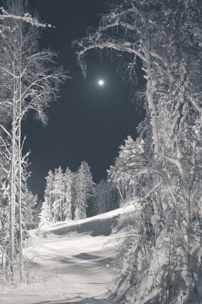 Берендеев лес