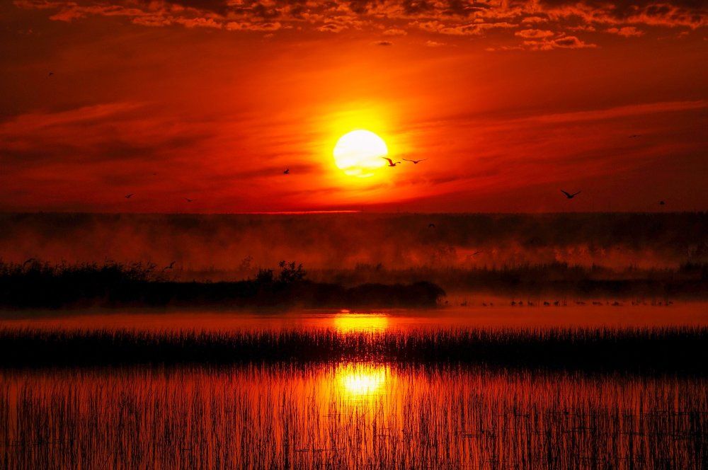 Sleeping Sun