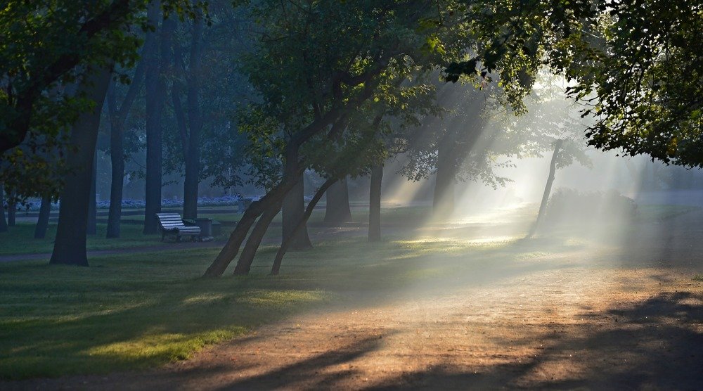 Про утренний свет....