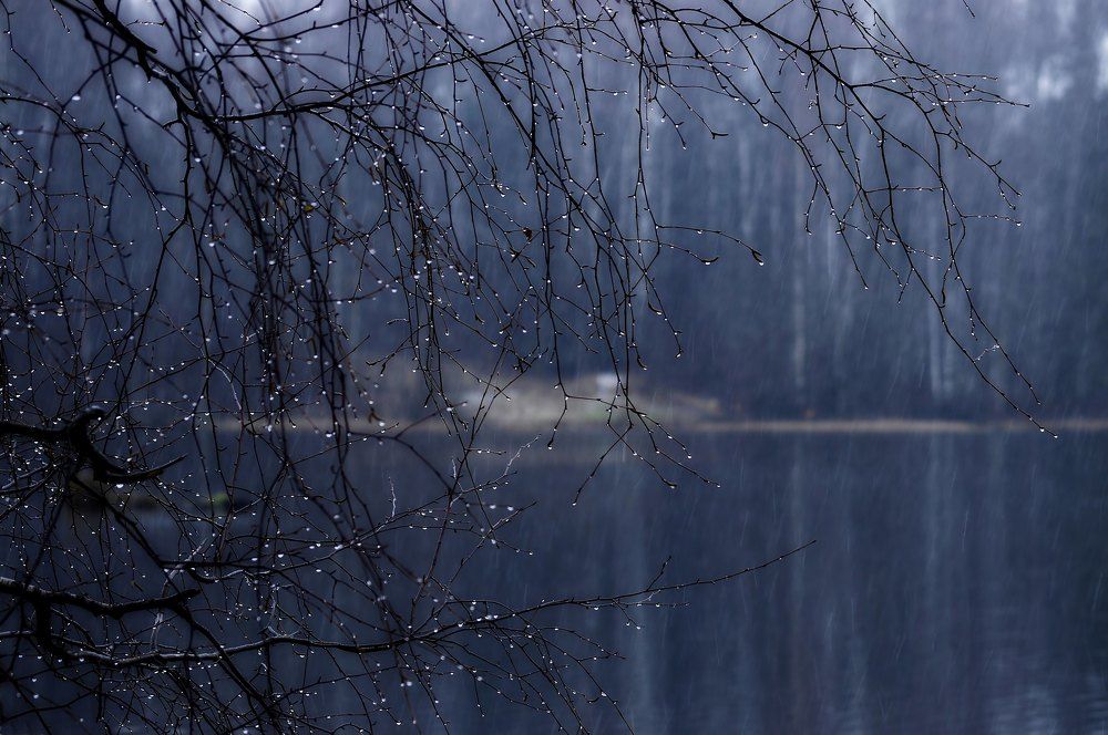 Первый снег