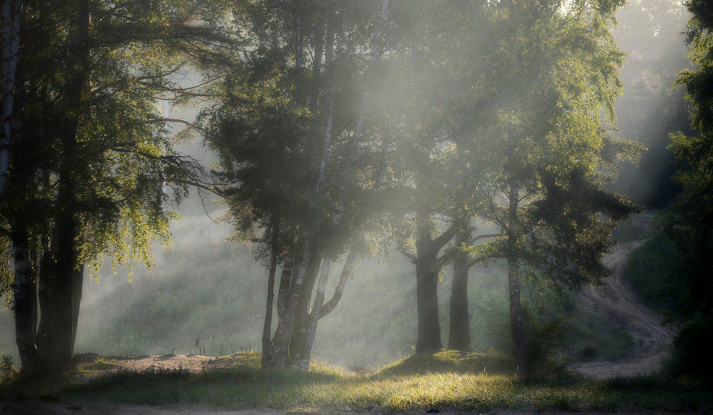 Дорогой утренней....