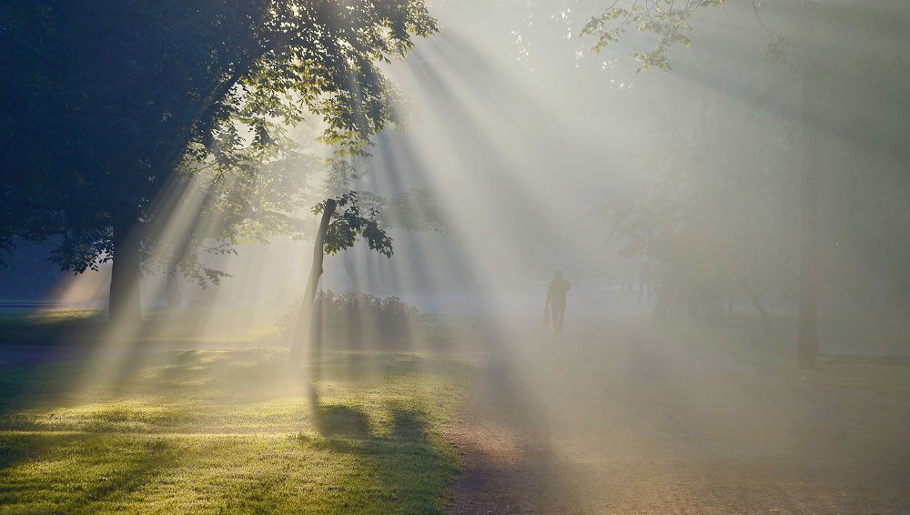 В утреннем свете....