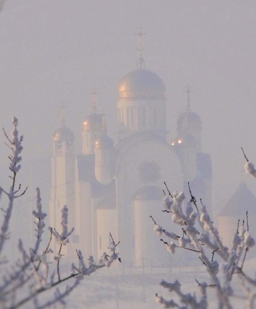 Туман и солнце.