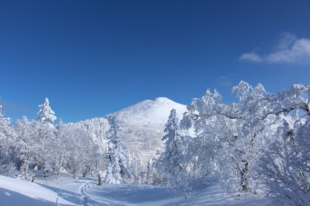 Путь на вершину. г.Пушкинская.Сахалин