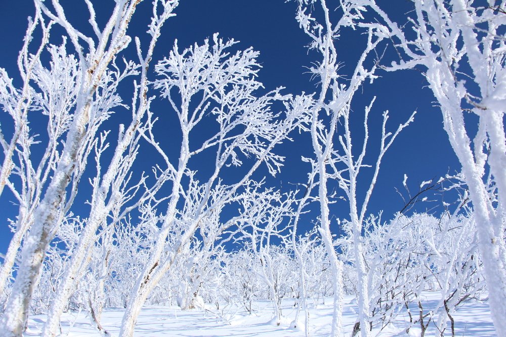 Зимняя сказка