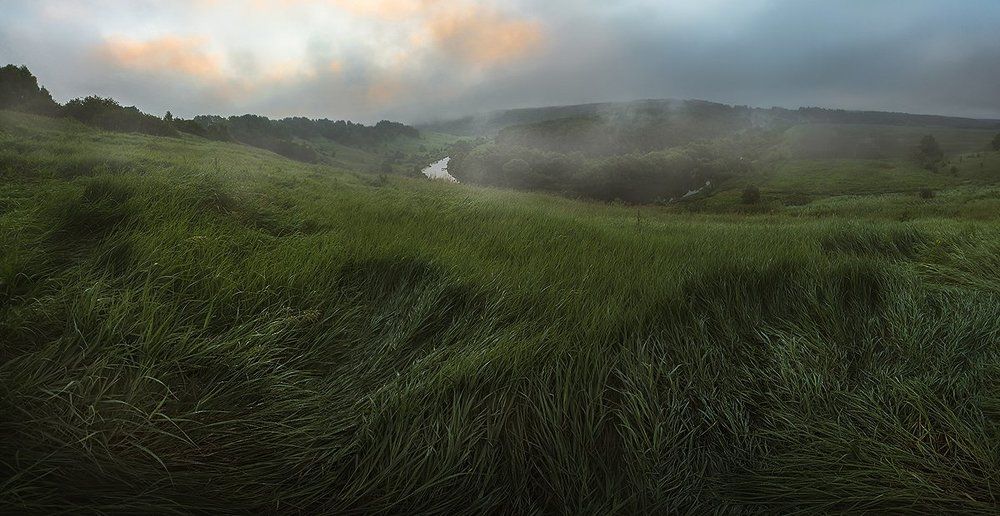 Загадочное поле в предрассветный час