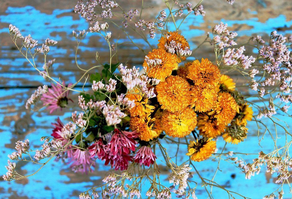 Неувядаемый цвет