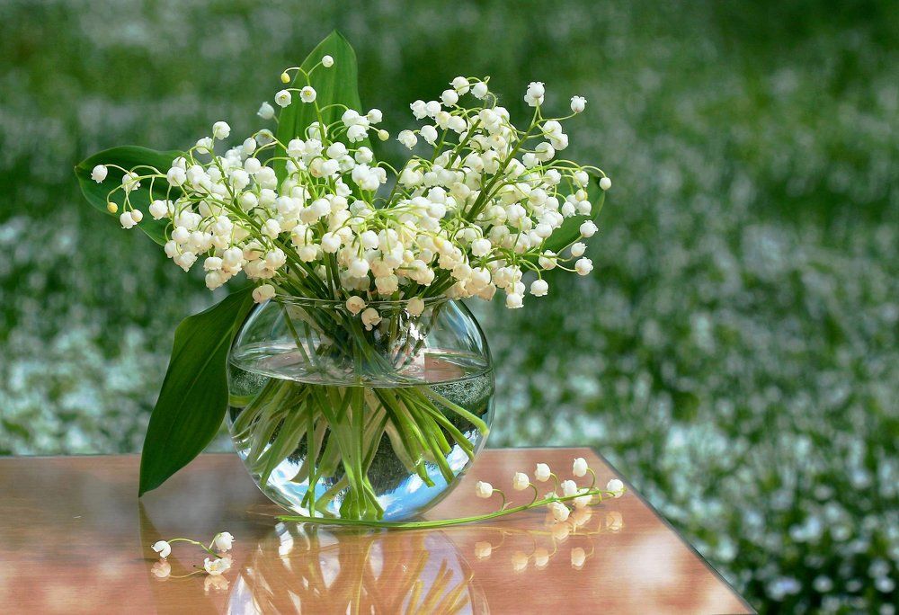 Светлого мая  привет!