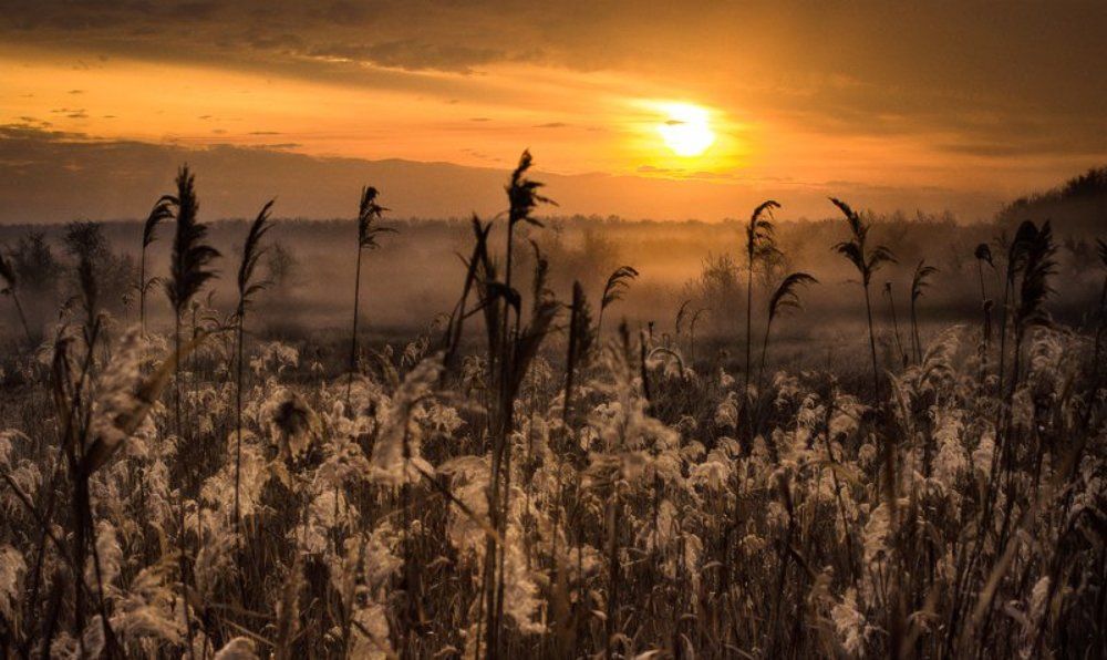 Утренним утром