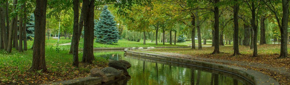 Photograph by Слава Орловский