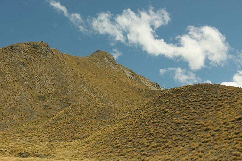 Valeria Ambrosio Allessandrini, Brazil