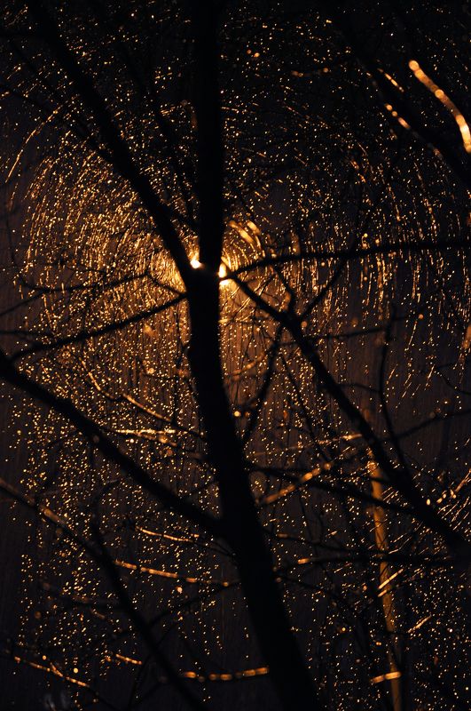 Sergey Golodetskiy, Russia