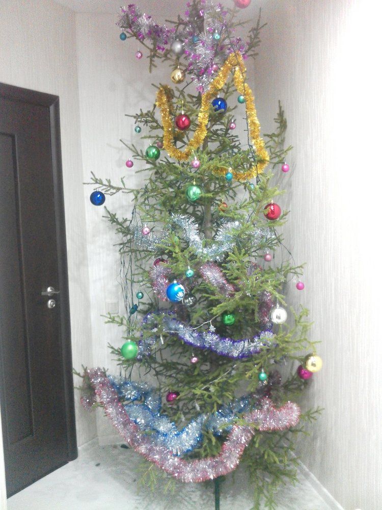 Photograph by Анастасия