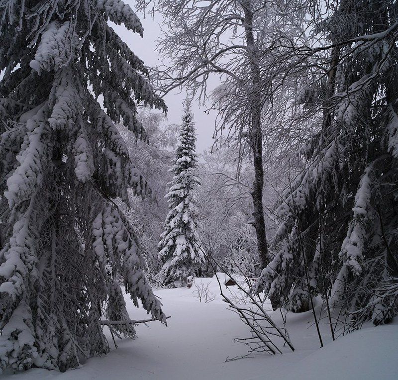 Oksana Proschenko, Russia
