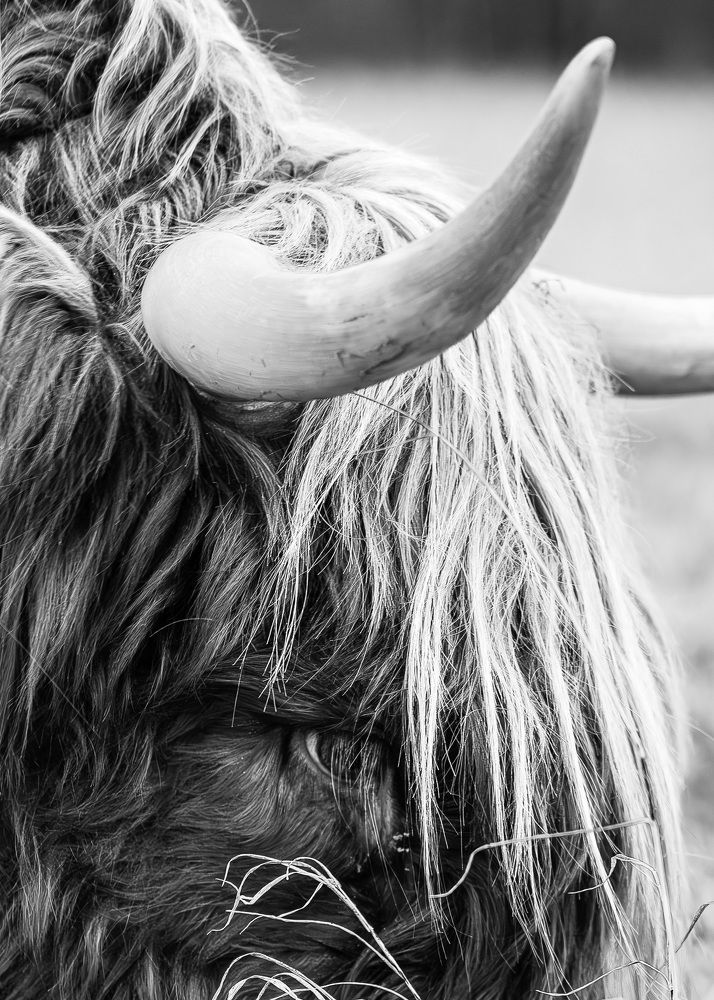 Photograph by Irina Tischer