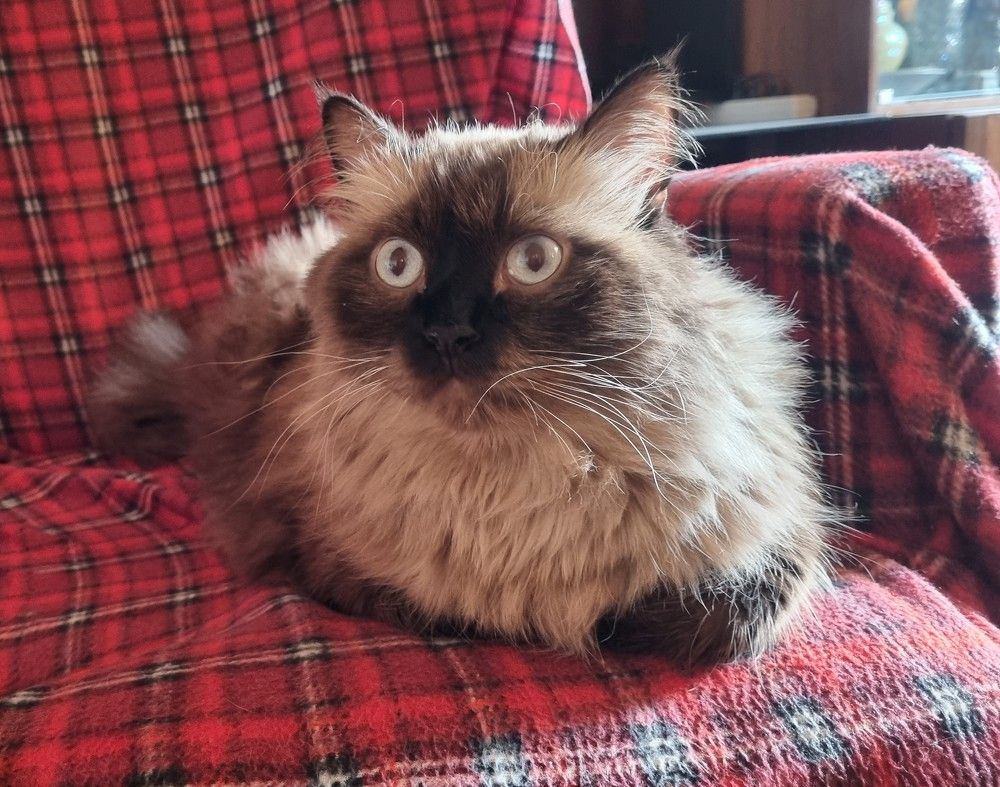Фотография автора Марина Карасева