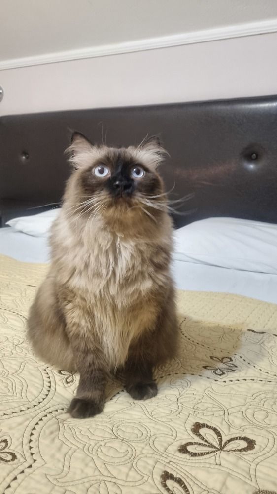 Фотография автора Марина Карасева