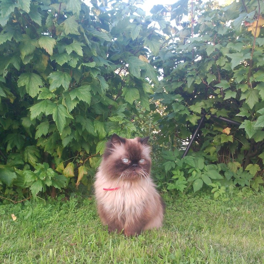 Фотография автора Марина Карасева