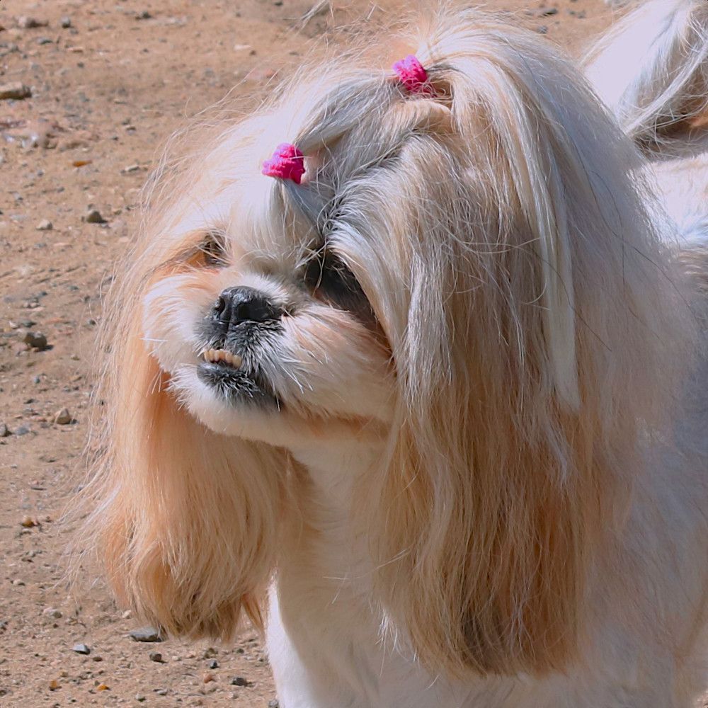 Photograph by Гагик Саркисян