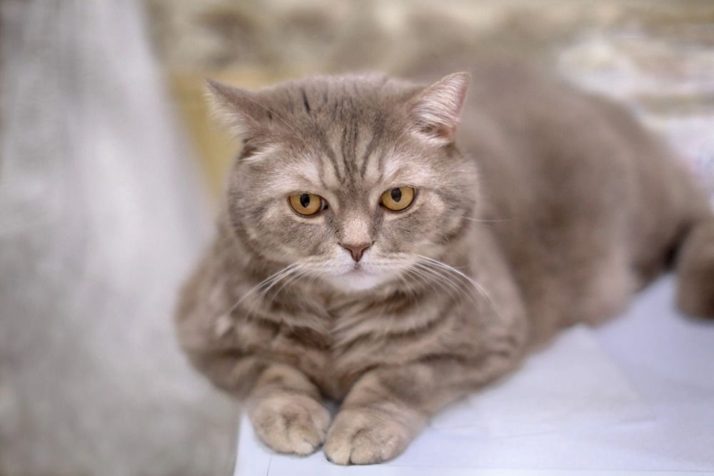 Photograph by Алексей Фролов